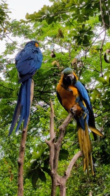 Parc historique de Guayaquil